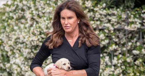 Caitlyn Jenner New Dog Puppy Photos Long
