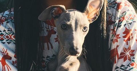 Kylie jenner christmas present