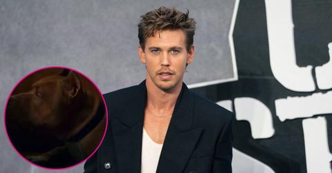 Composite Photo of Austin Butler and A Pitbull
