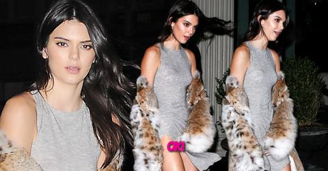 kendall jenner wardrobe malfunction
