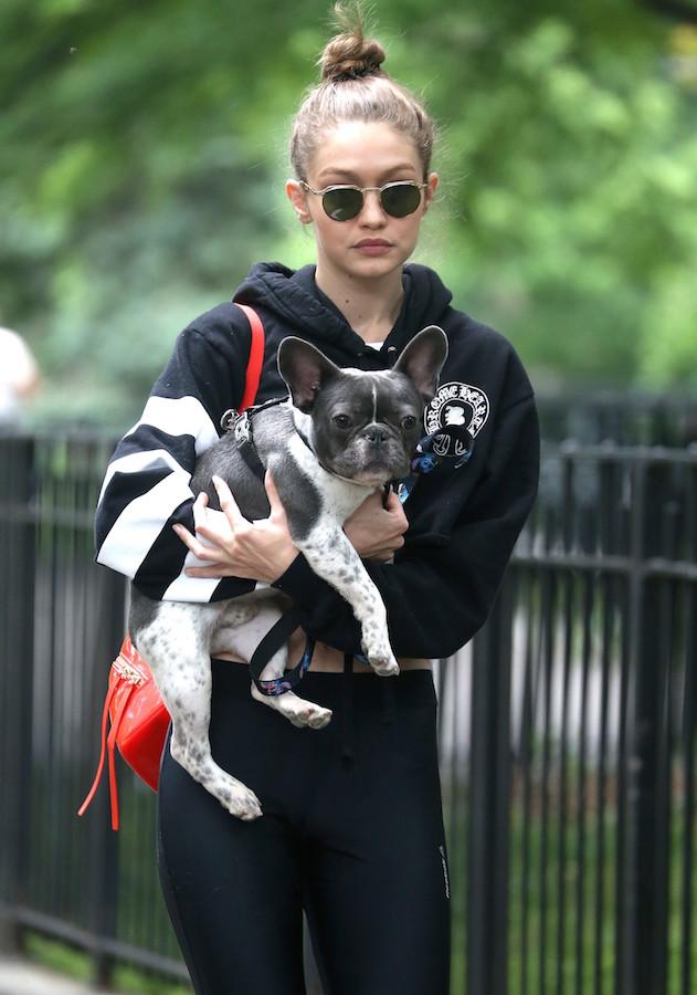 Gigi Hadid takes her French Bulldog to the park in NYC