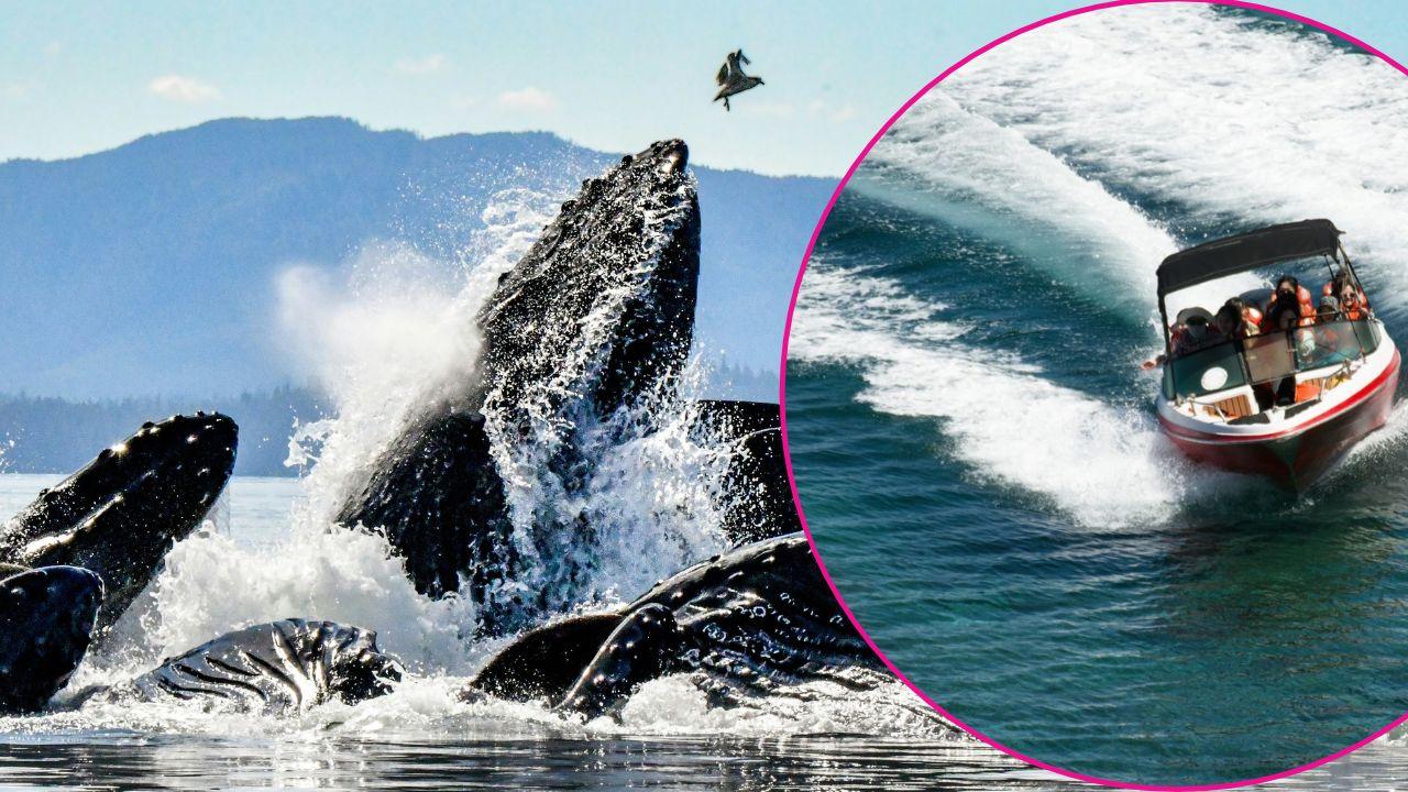 Image of a Russian man survived 67 days adrift after his brother and teenage nephew died during a whale-watching trip.