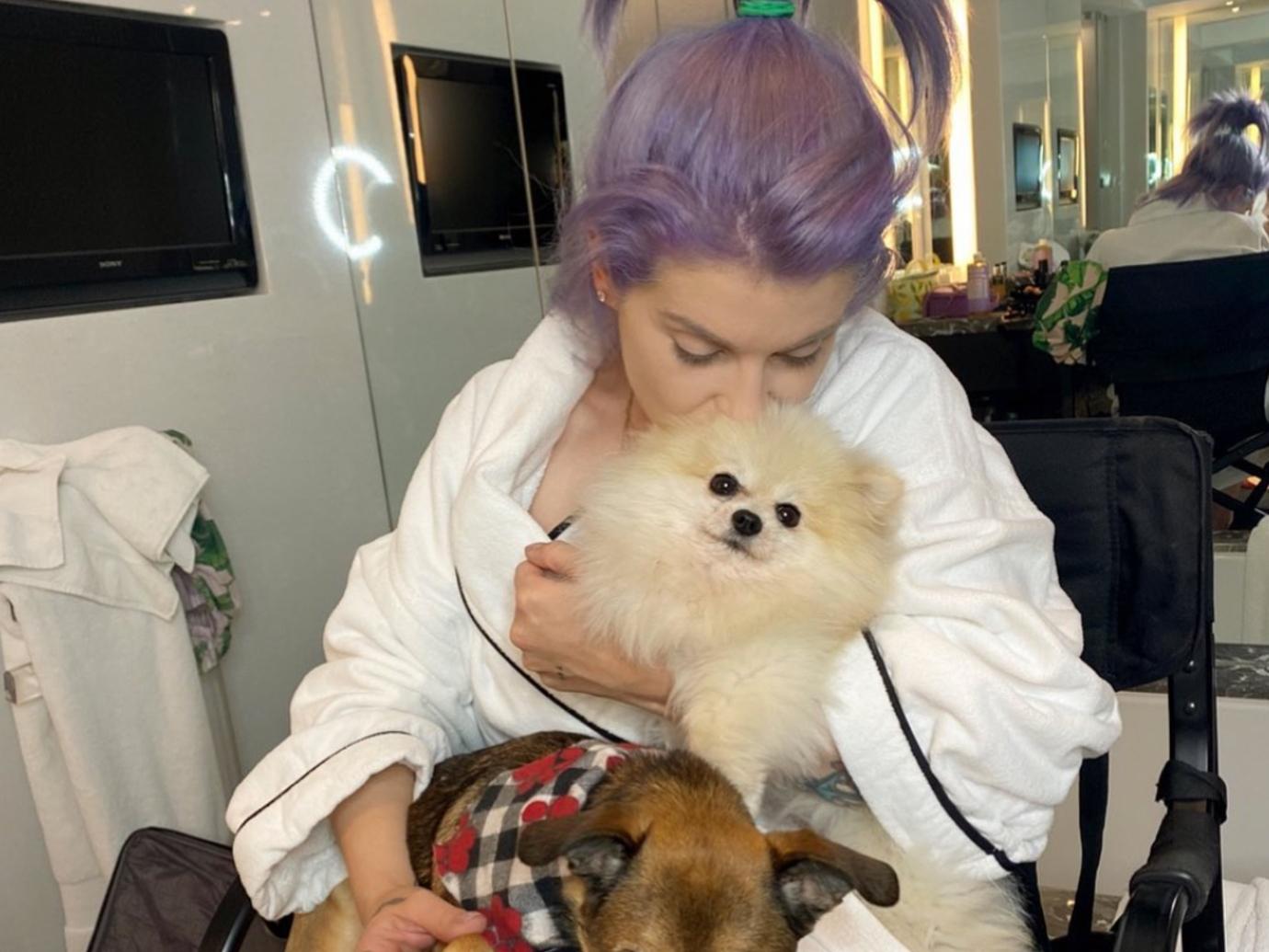 //celebrity pets kelly osborne feature