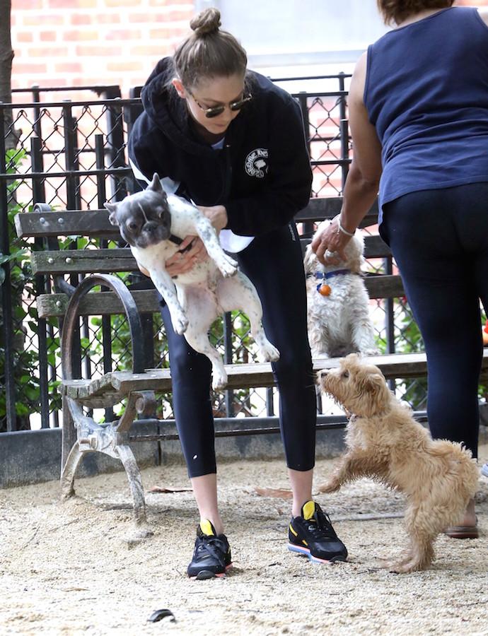 Gigi Hadid takes her French Bulldog to the park in NYC