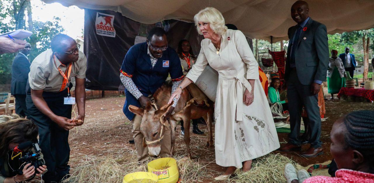 king charles wants turn prince andrew royal lodge future home queen camilla