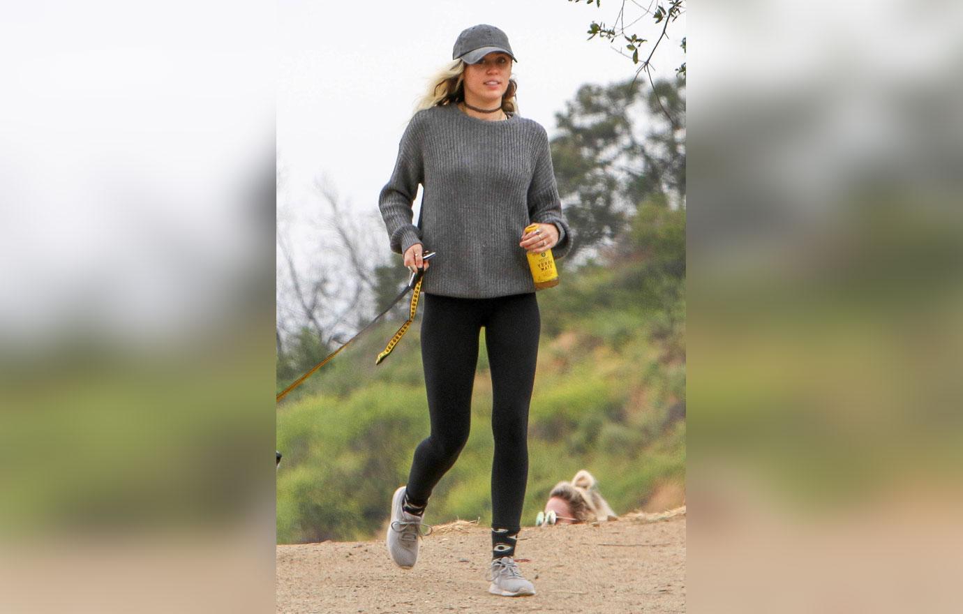 *EXCLUSIVE* Miley Cyrus takes her dog out for a hike with friend Wayne Coyne