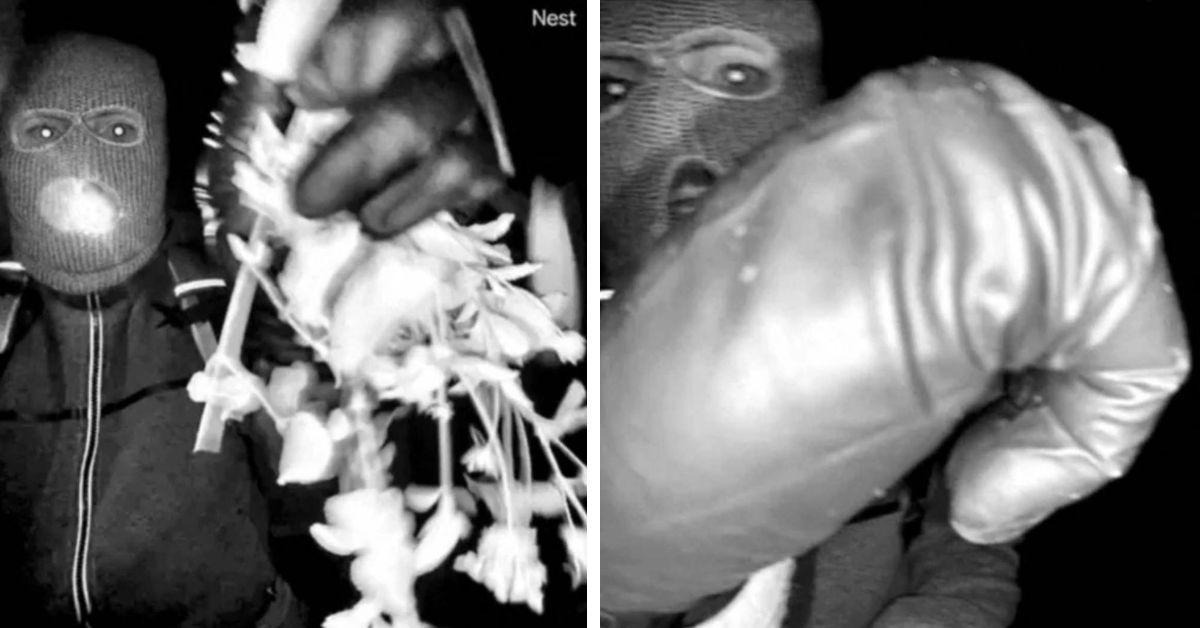 image of Callahan Walsh called the case 'a unique case.'