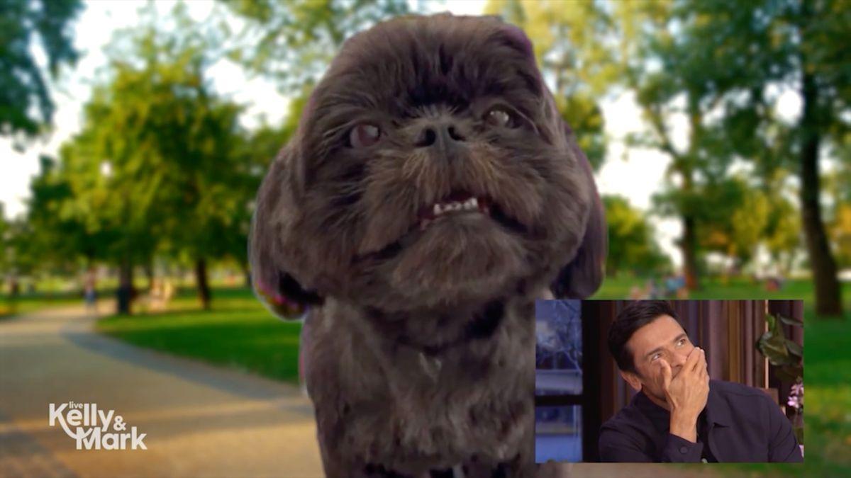 Image of Mark Consuelos received an animated video message from his dog Lena for his birthday.