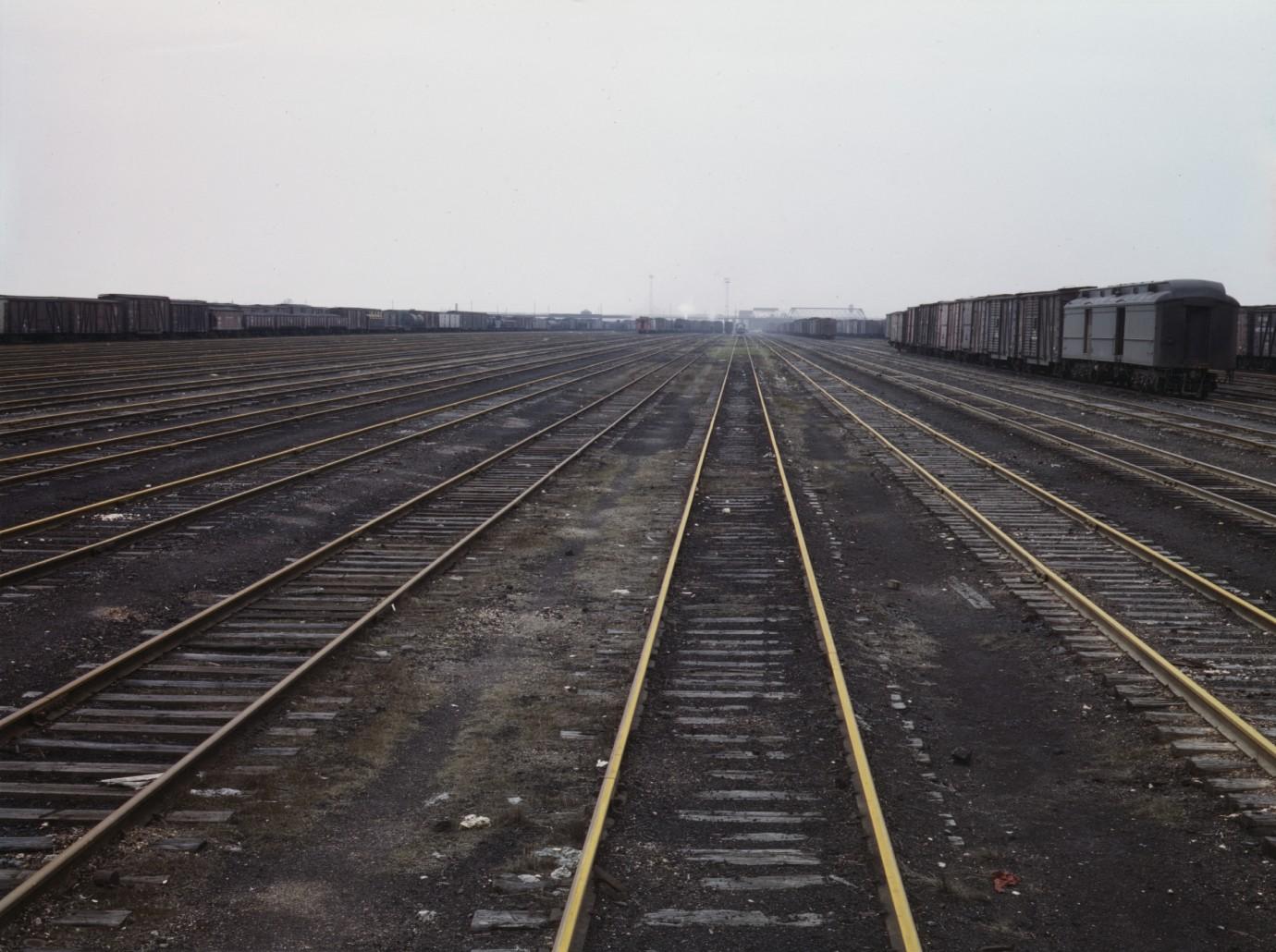 lollapalooza concertgoers electrocuted taking photos train tracks