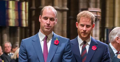 Prince William and Harry