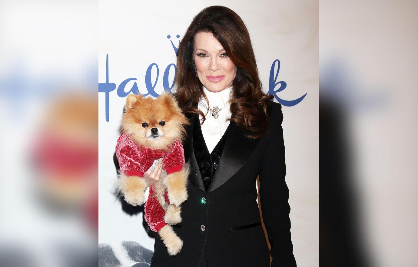 lisa vanderpump slammed greedy opposing west hollywood minimum wage sur ok