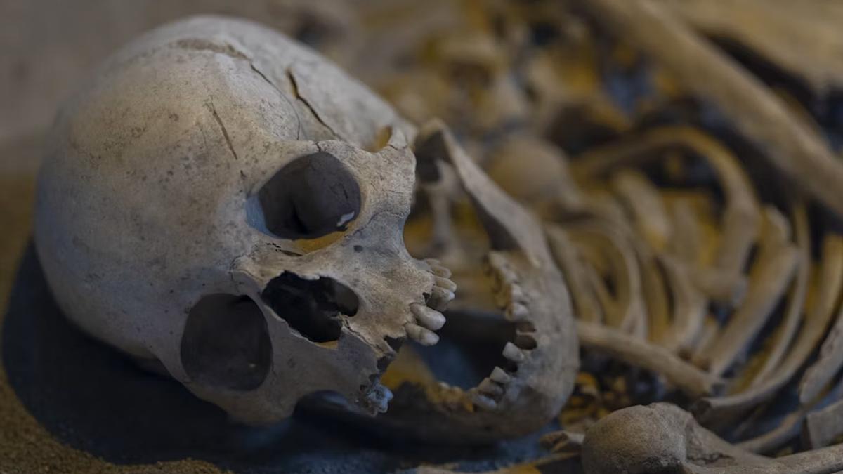 Image of A raid on the suspect's apartment revealed a disturbing collection of hidden remains.