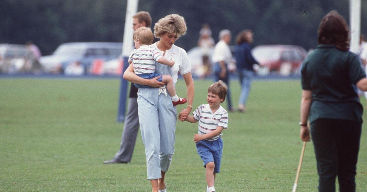 prince williams love princess diana not enough end feud prince harry