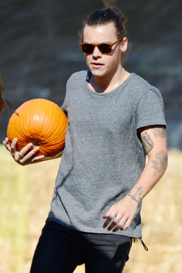 Harry styles pumpkin 2