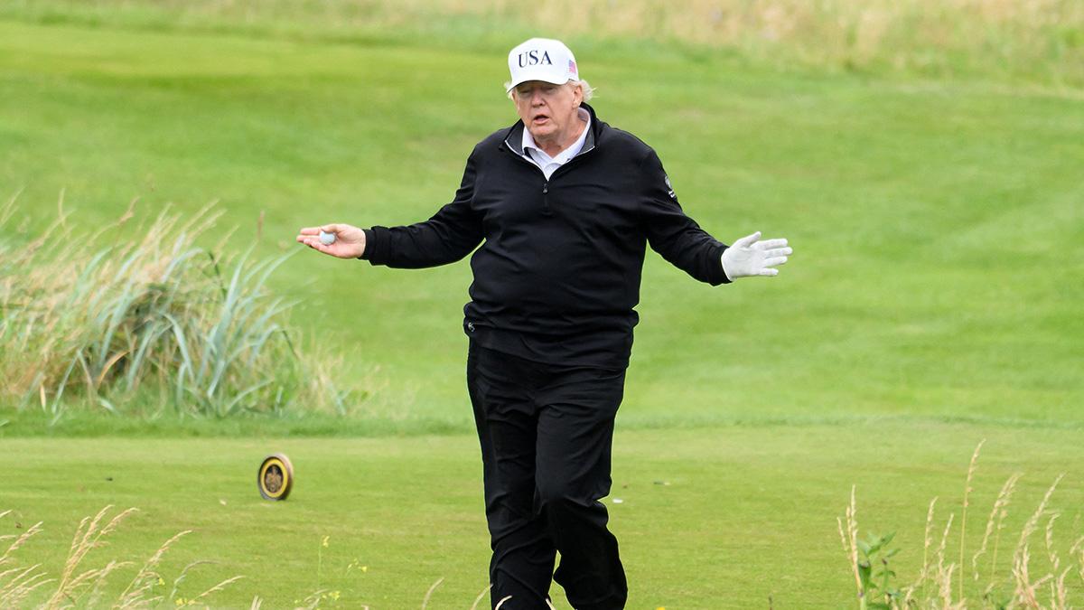 Image of Donald Trump praised the UFC fighter for going 'virtually undefeated.'