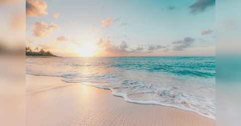 celebrity travel trends for