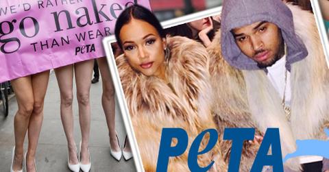 Peta coming for chris brown and karrueche