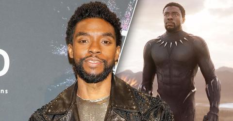Chadwick Boseman Posing In Front of a Red Carpet/ as Black Panther