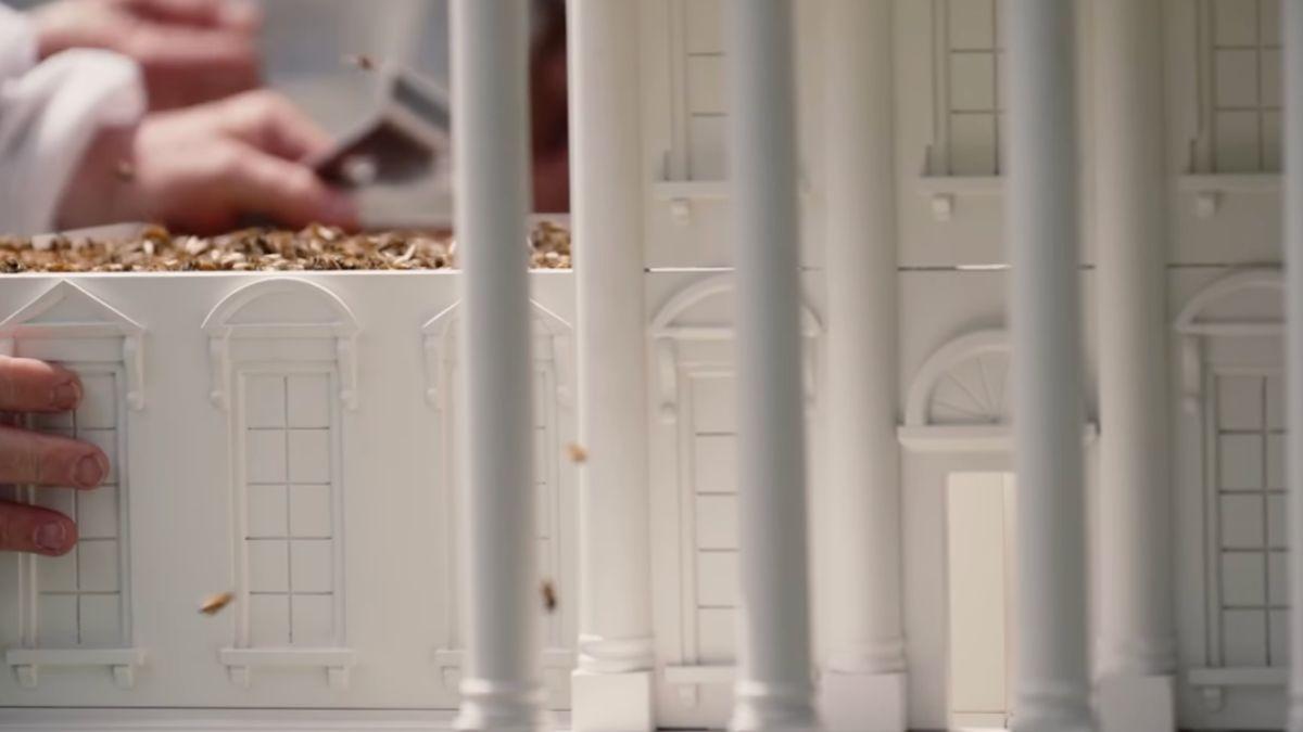 image of The president and first lady reportedly showed off the new hive to King Charles and Queen Camilla.