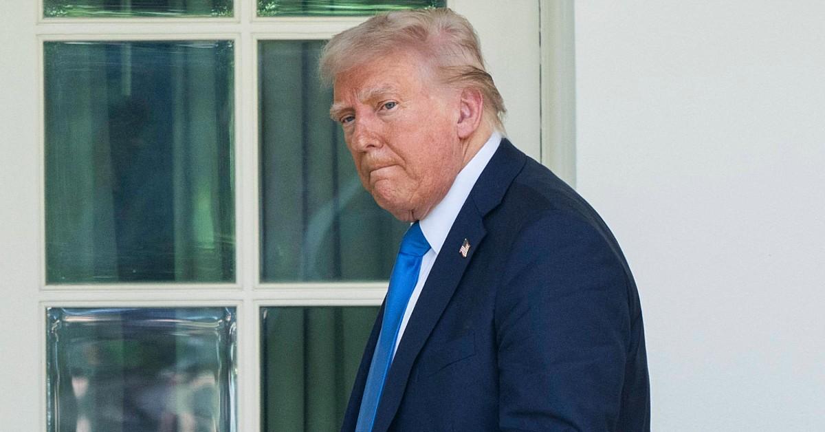 incredibly stupid donald trump eviscerated