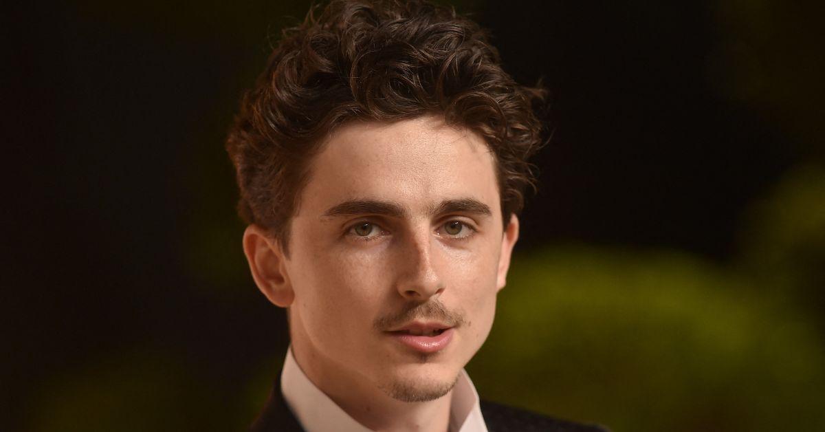 Photo of Timothée Chalamet