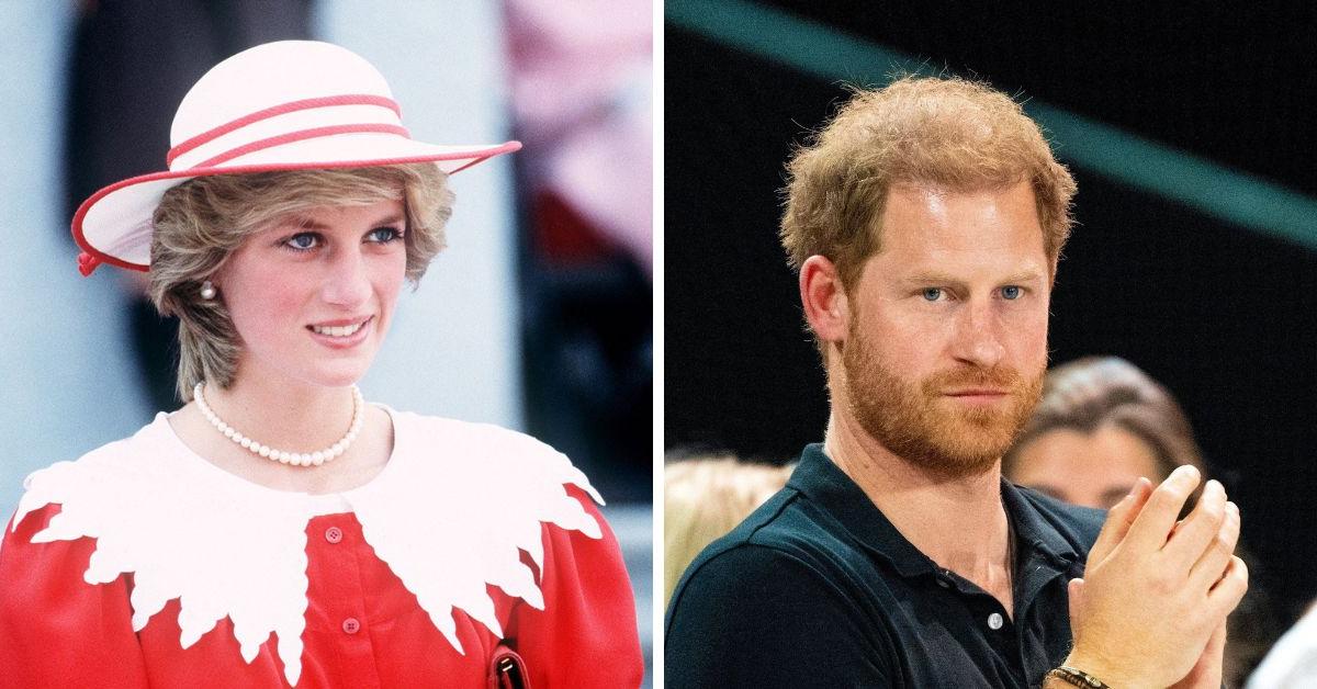 Princess Diana's Bodyguard: Prince Harry Should Have Protection