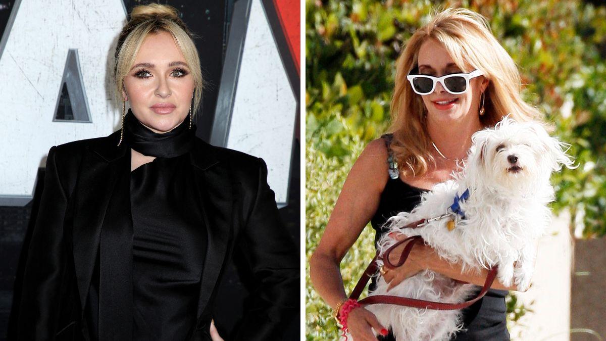 hayden panettiere estrangement with mom lesley vogel explained