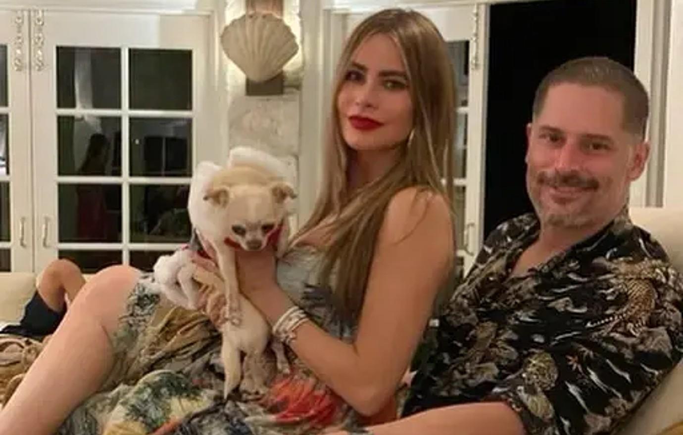 sofia vergara dog joemanganielloig