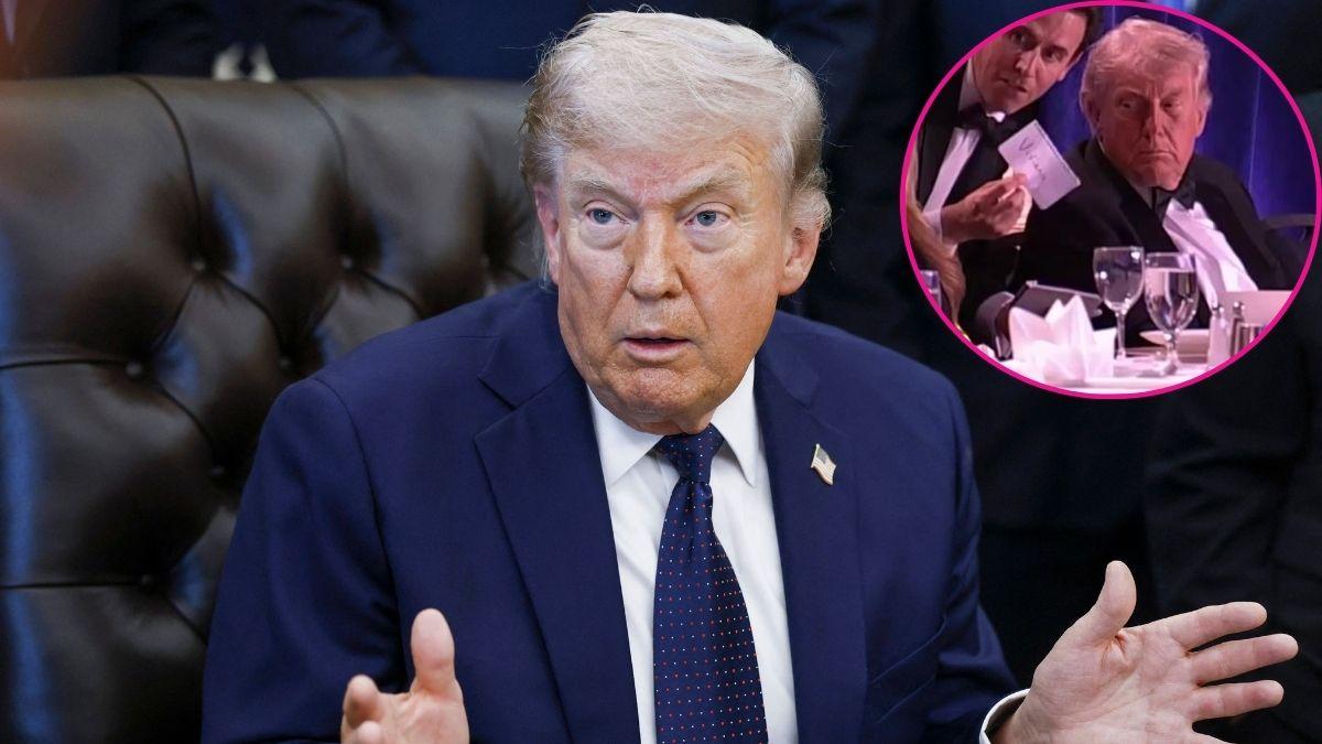 pic of Donald Trump. 