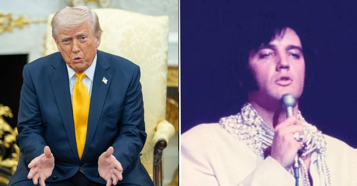 image of Donald Trump asked if he could have fought the singer. 