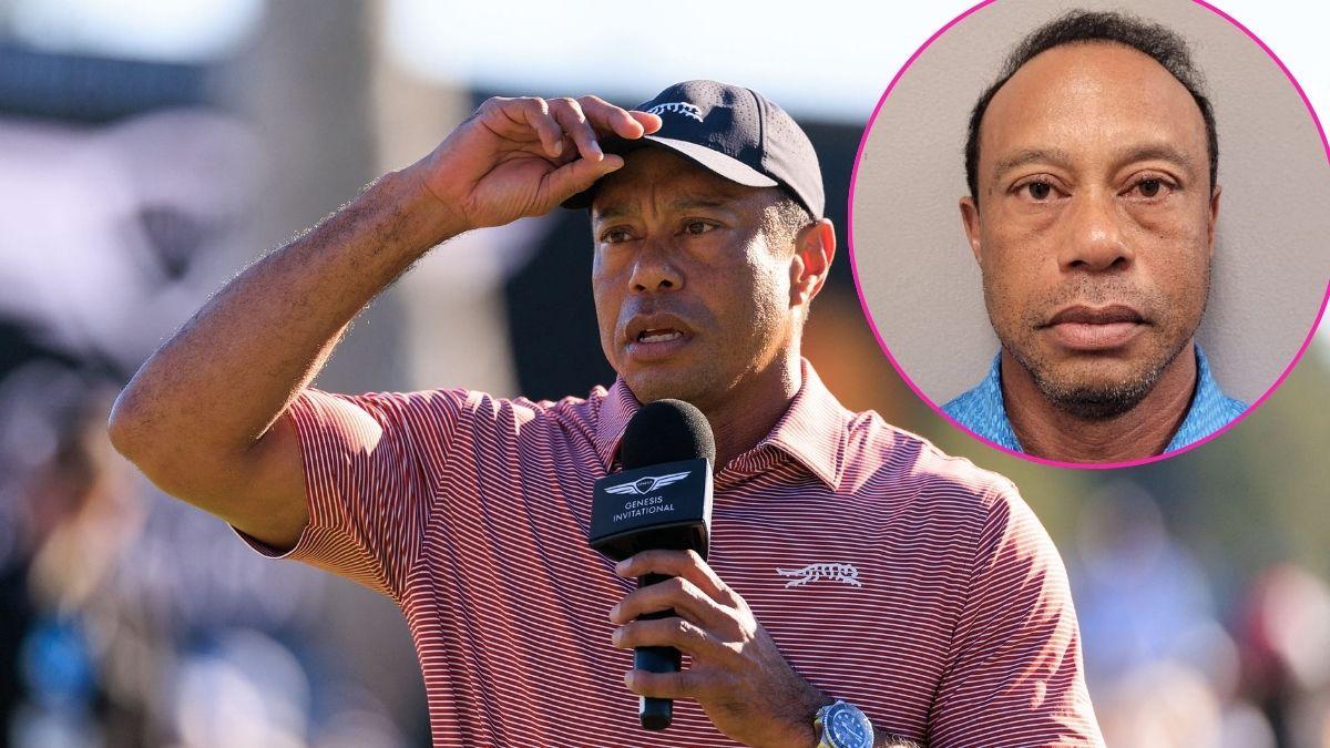 tiger woods dui arrest rollover crash florida explained