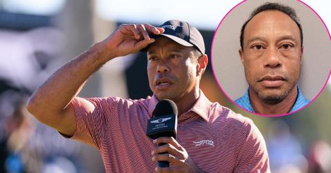 tiger woods dui arrest rollover crash florida explained