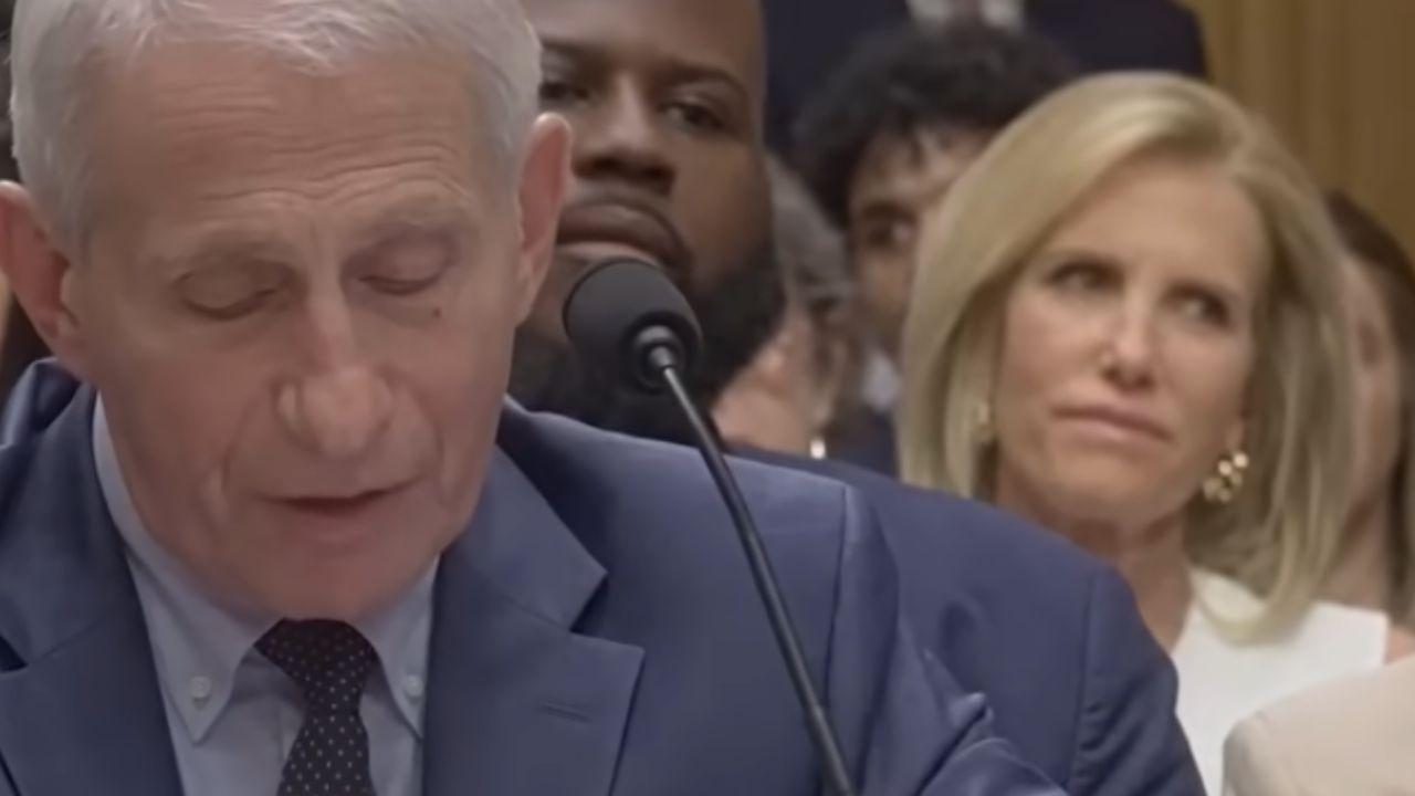 Image of Laura Ingraham reacted visibly during Dr. Anthony Fauci's Senate hearing.