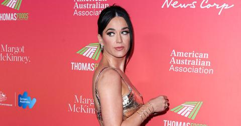 katy perry growing up poor food stamps busked