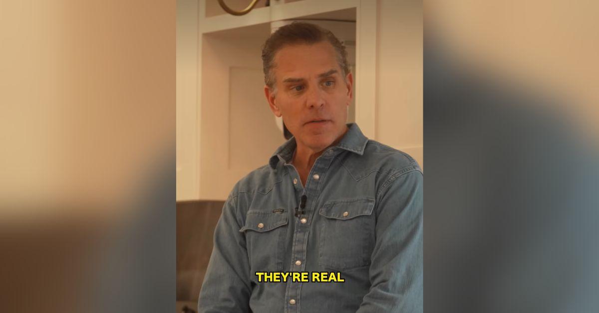 image of The conversation covered a wide range of topics, including politics, aliens, music and Hunter Biden's recovery.