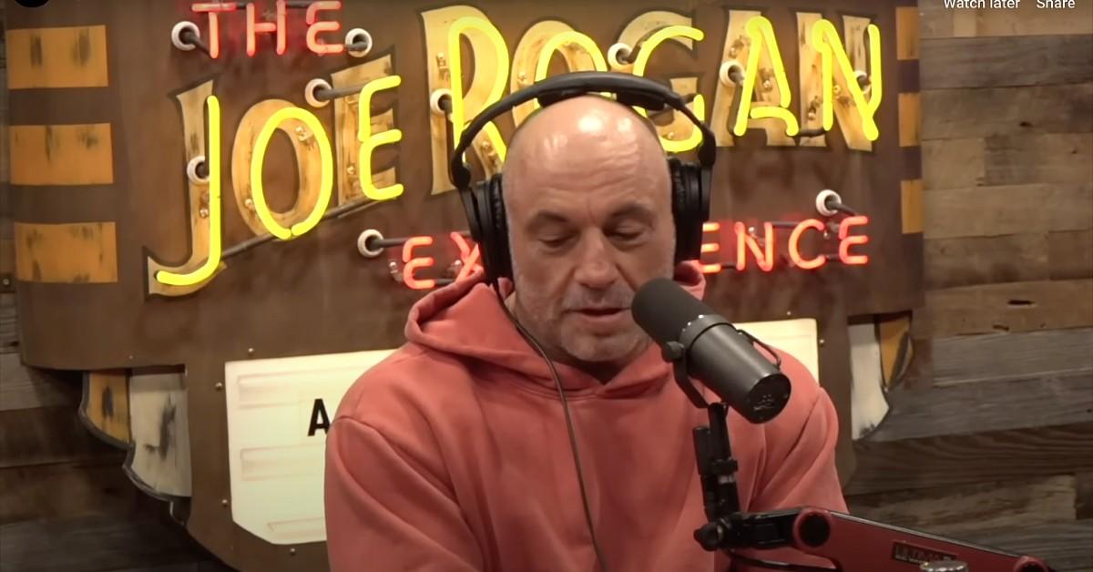 joe rogan slams the view rabies infested hen house sunny hostin