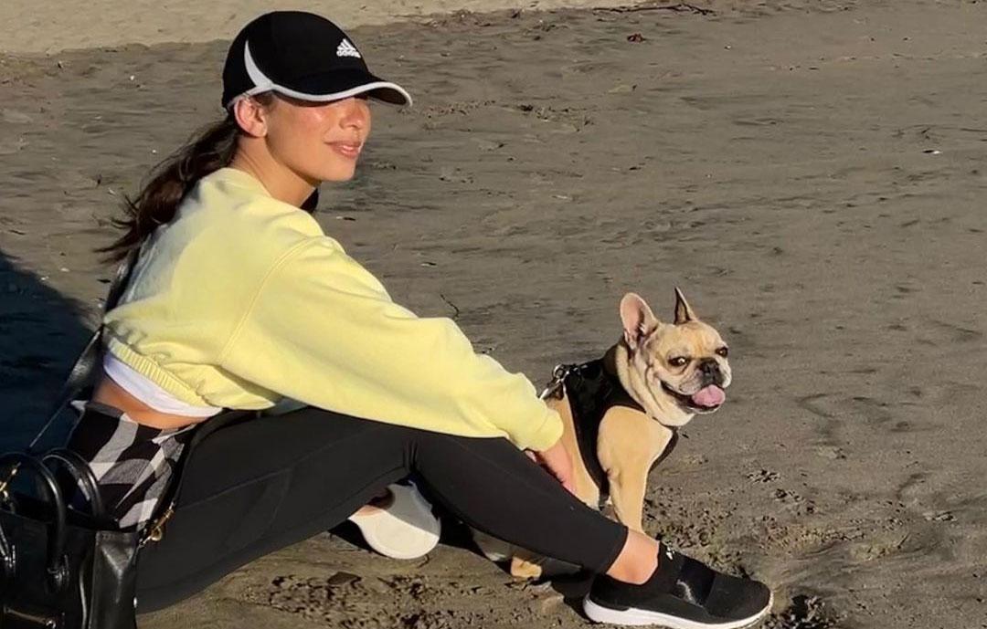 cheryl burke reveals she ex husband matthew lawrence may go to court over custody of their dog