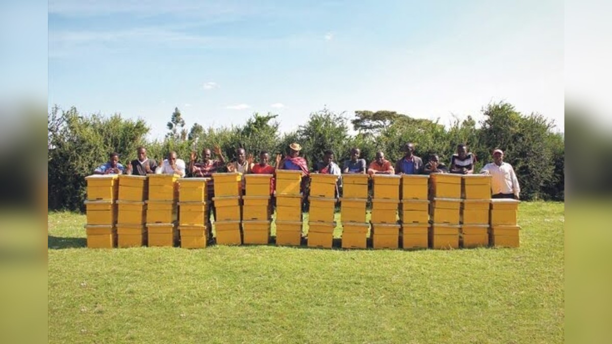 the quiet canadian driving a global pollinator rebirth
