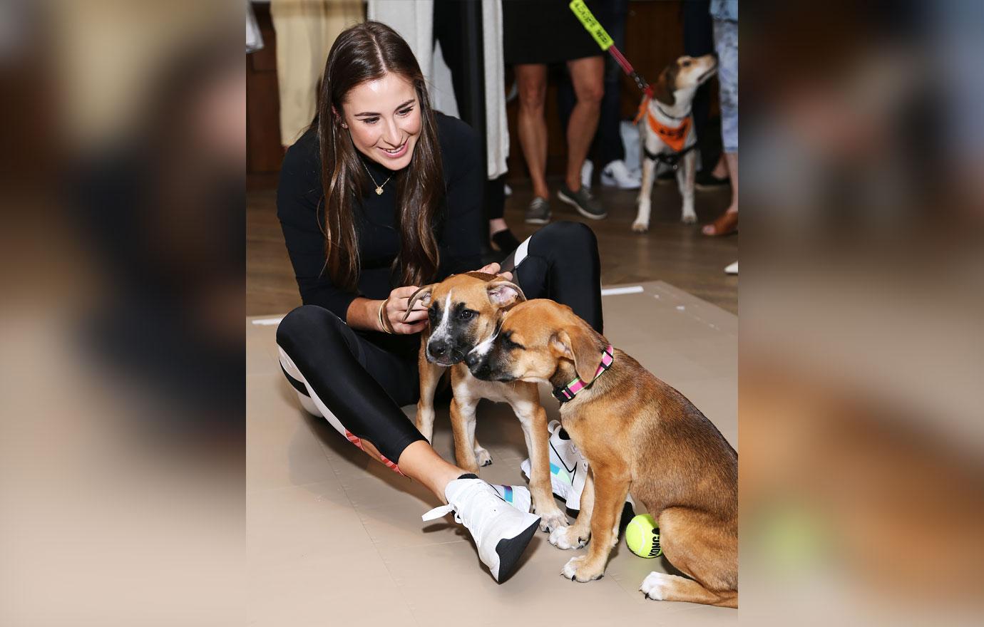 belinda bencic ball dogs