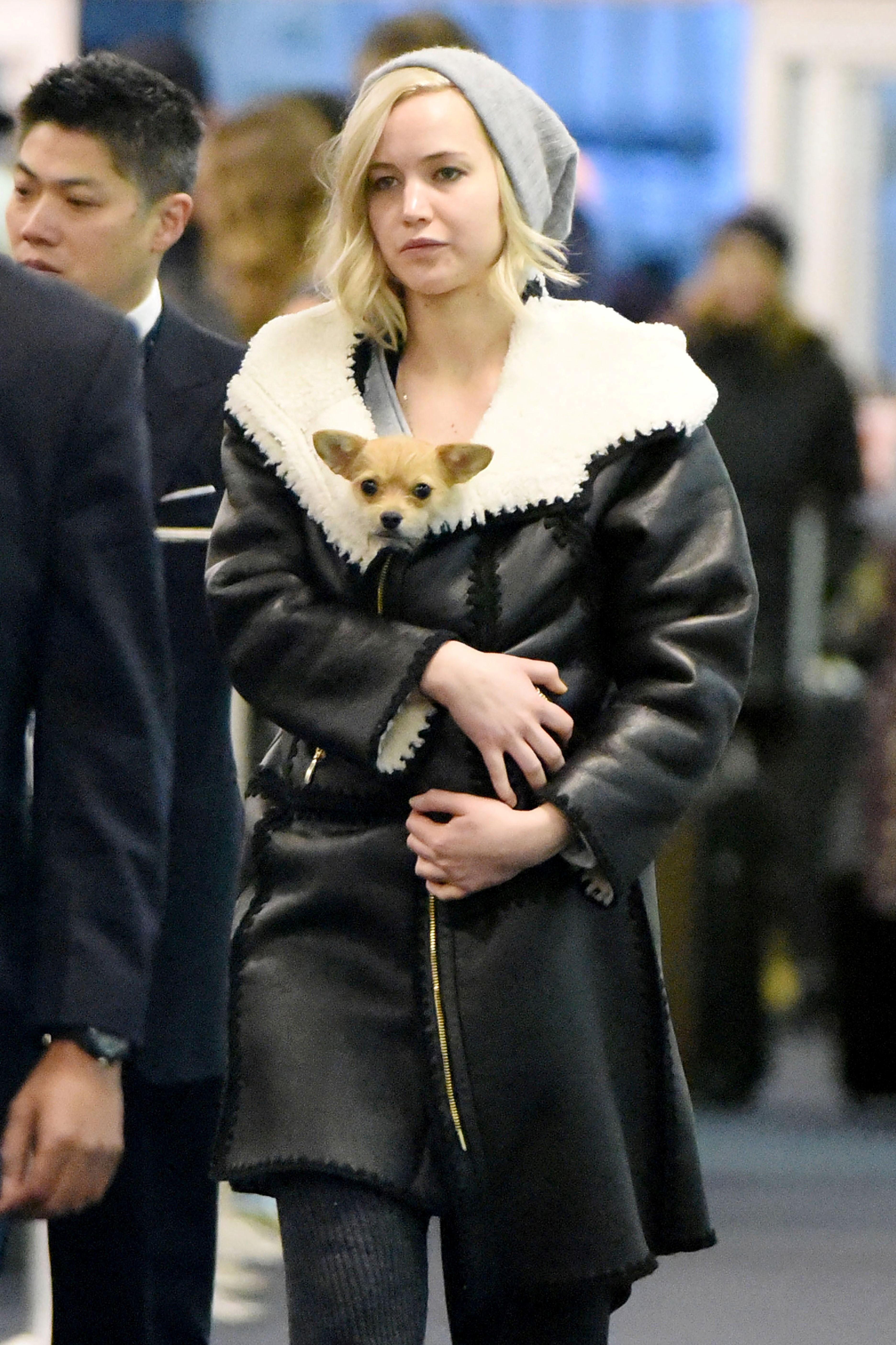 Jennifer lawrence holds dog arrive nyc airport 03