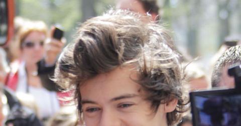 Ok_050313_news_harry styles gallery.jpg