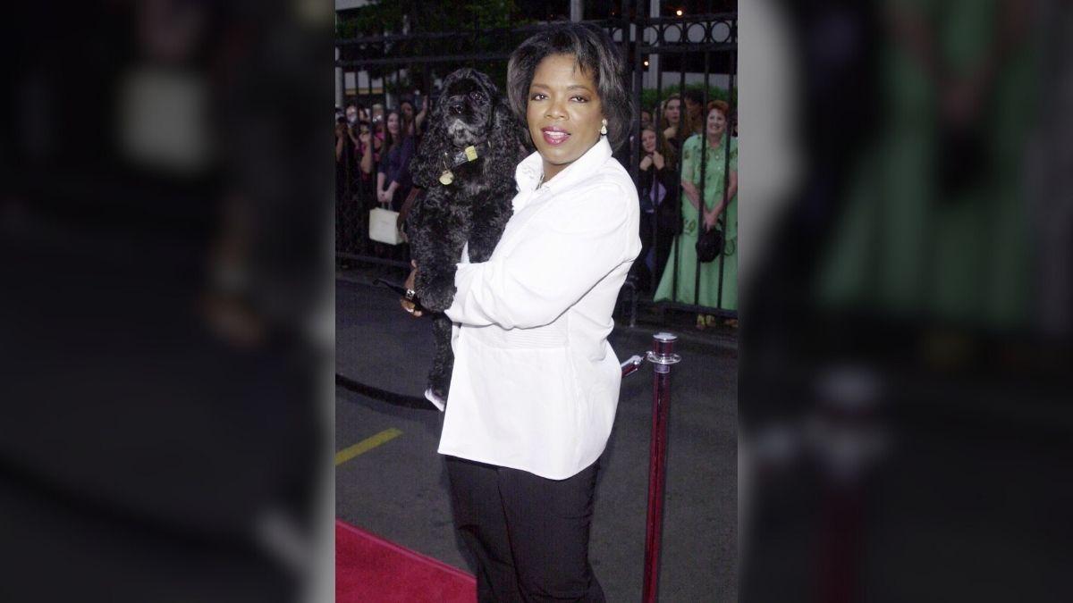 Photo of Oprah Winfrey gained 20 pounds despite a healthy diet and regular workouts.