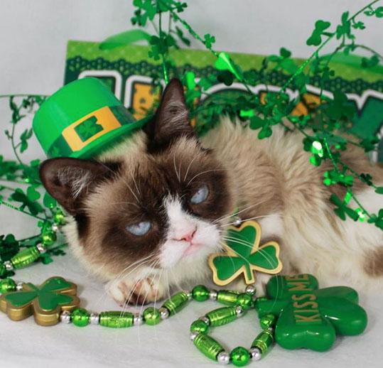 Grumpy Cat St. Patrick's Day Facebook Post