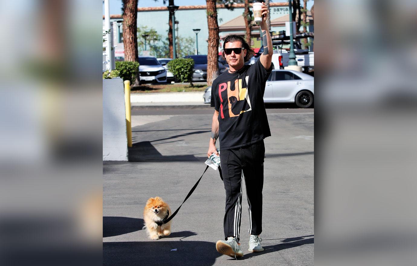 gavin rossdale spotted walking dog los angeles sparking fan concern canceling tour