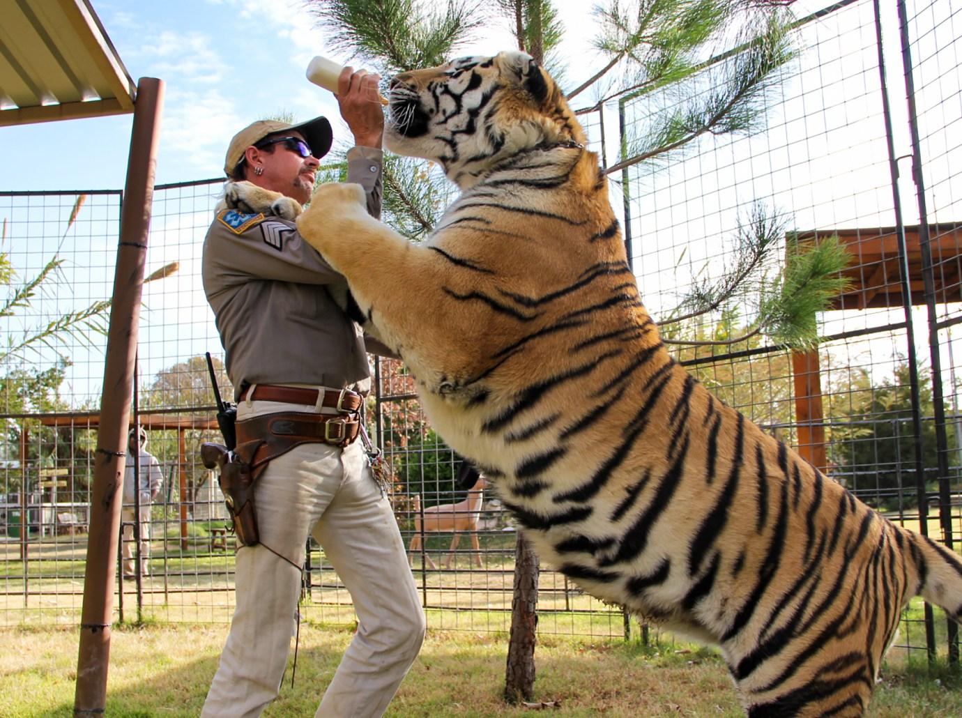 tiger king joe exotic begs kim kardashian released jail pardon