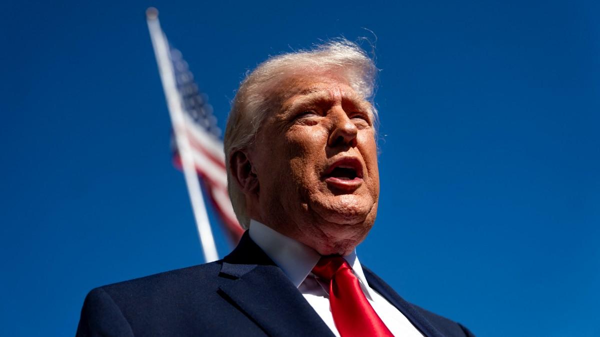 pic of Donald Trump. 