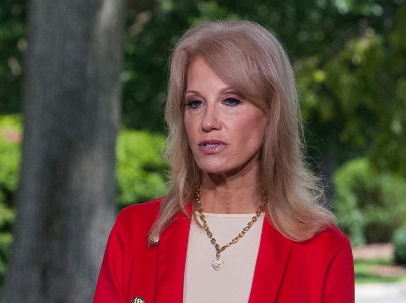 kellyanne conway net worth richest politicians donald trump