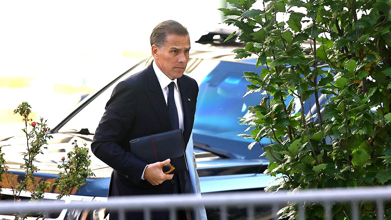 photo of Hunter Biden also discussed his stolen laptop drama.