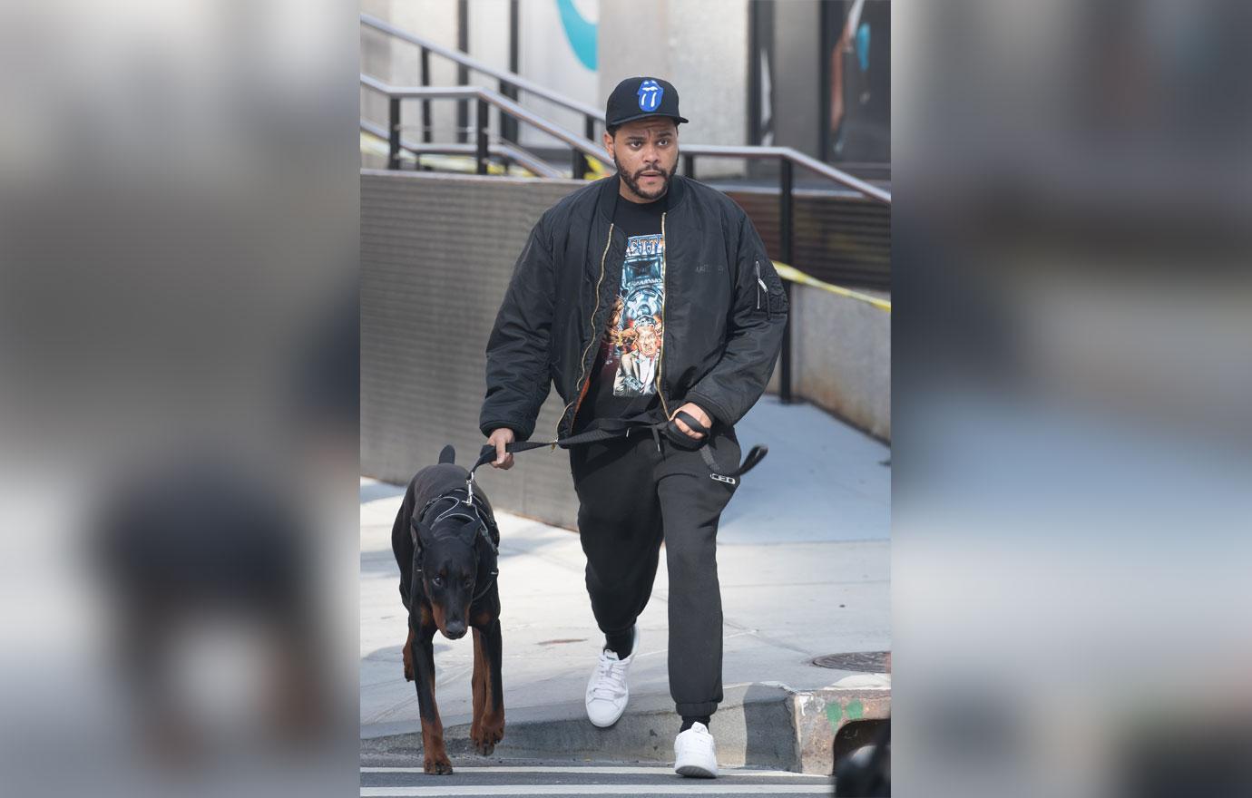 The Weeknd Bundles Up For Dog Walk In Cool NYC Weather: Photo 4175537, The  Weeknd Photos