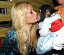 2009__10__gyi91625707 225×195.jpg